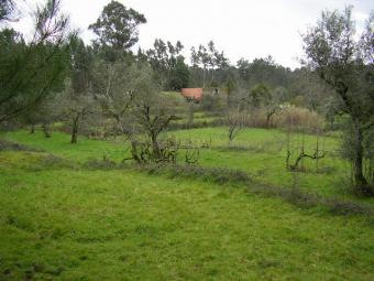 little farm with a stone houses Oimbra